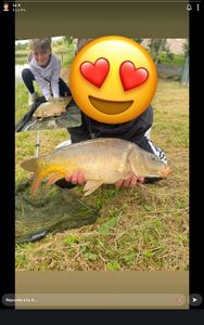 Mirror Carp