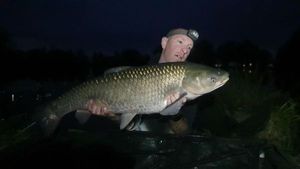Silver Carp