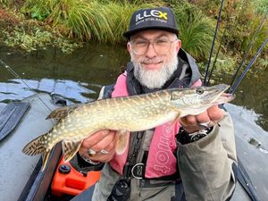 Northern Pike