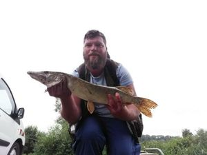 Northern Pike