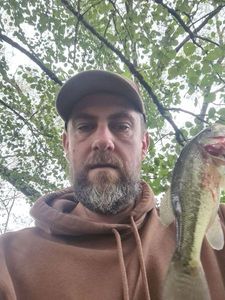 Largemouth Bass