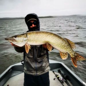 Northern Pike