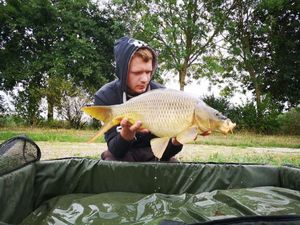 Common Carp