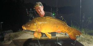 Mirror Carp