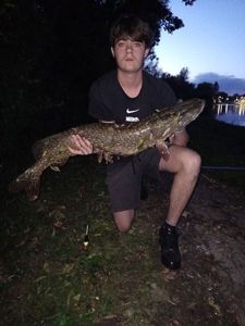 Northern Pike