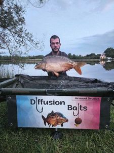 Mirror Carp