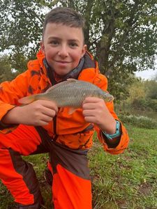 Common Carp