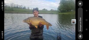 Mirror Carp
