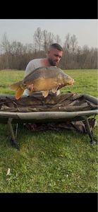 Mirror Carp
