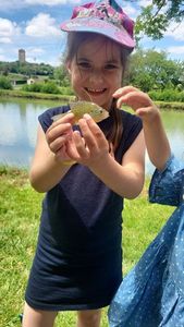 Green Sunfish