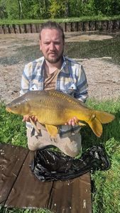 Mirror Carp