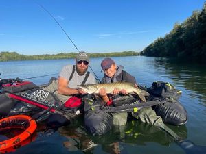 Northern Pike