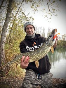 Northern Pike