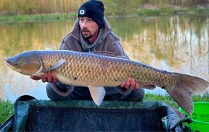 Grass Carp