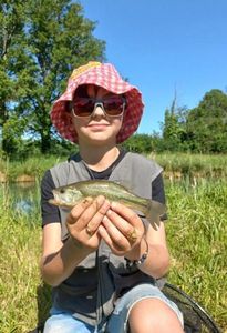 Largemouth Bass