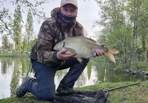Common Bream