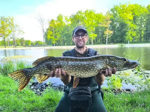 Northern Pike