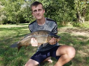 Common Carp