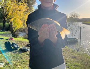 Crucian Carp