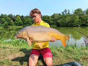 Mirror Carp
