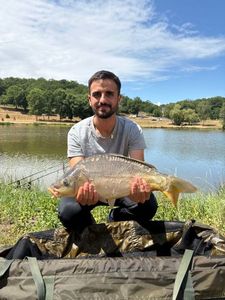 Mirror Carp