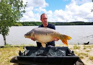Mirror Carp