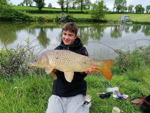 Common Carp