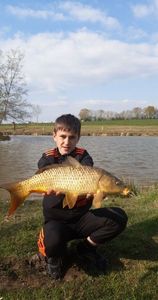 Common Carp