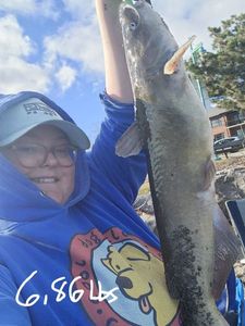 Channel Catfish
