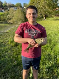 Smallmouth Bass