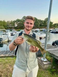 Largemouth Bass