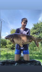 Common Carp