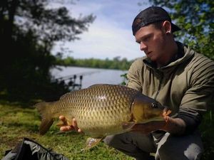 Common Carp