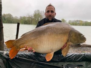 Mirror Carp