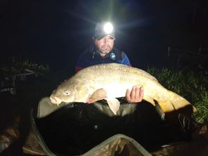 Mirror Carp