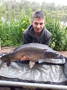 Mirror Carp