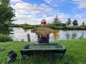 Common Carp