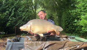 Mirror Carp