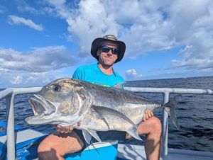 Giant Trevally (GT)