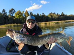 Northern Pike