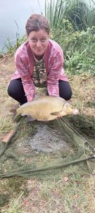 Common Bream