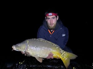 Mirror Carp