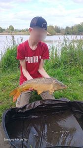 Mirror Carp