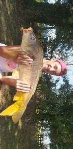 Mirror Carp