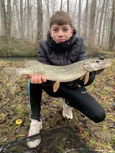 Northern Pike