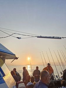 Cape Horse Mackerel
