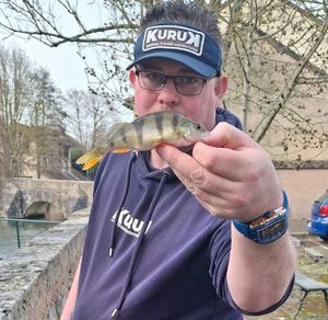 European Perch