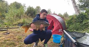 Common Carp