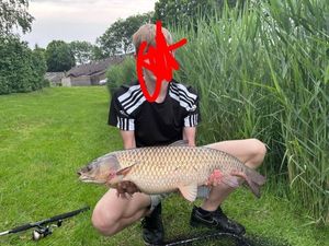 Grass Carp