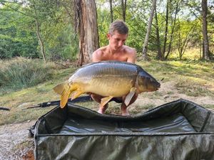 Mirror Carp